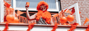 Maak Koningsdag onvergetelijk met onze oranje versieringen - Partywinkel