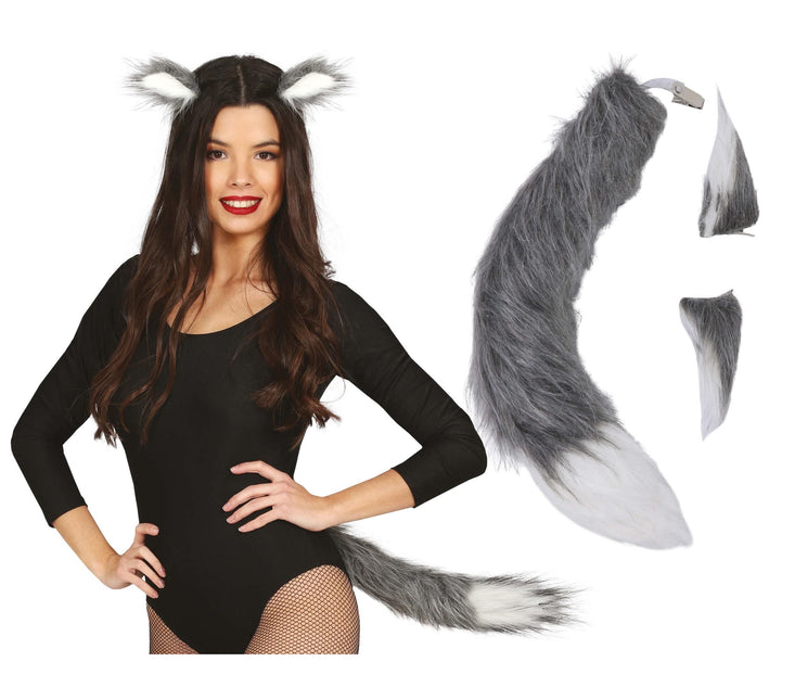 Tilbehørssæt Fox 2 dele