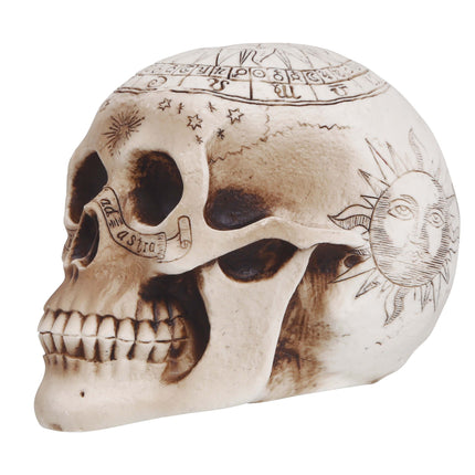 Halloween-borddekoration kranium 20 cm