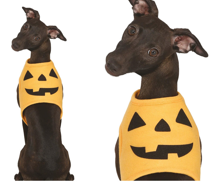 Halloween Dieren Kostuum Pompoen Mascotte