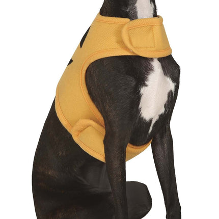 Halloween dyr kostume græskar maskot