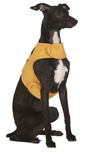 Halloween Dieren Kostuum Pompoen Mascotte