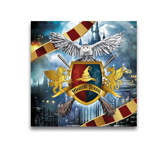Harry Potter-servietter 33 cm 12 stk