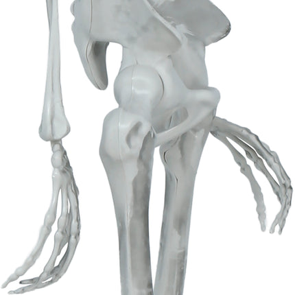 Halloween-skelet, bevægeligt, 1,4 m