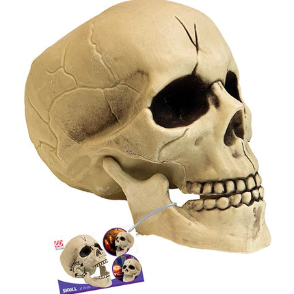 PVC-KRANIE MED BEVÆGELIG KÆBE 21 CM