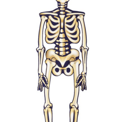 HALLOWEEN-LEDDET SKELET