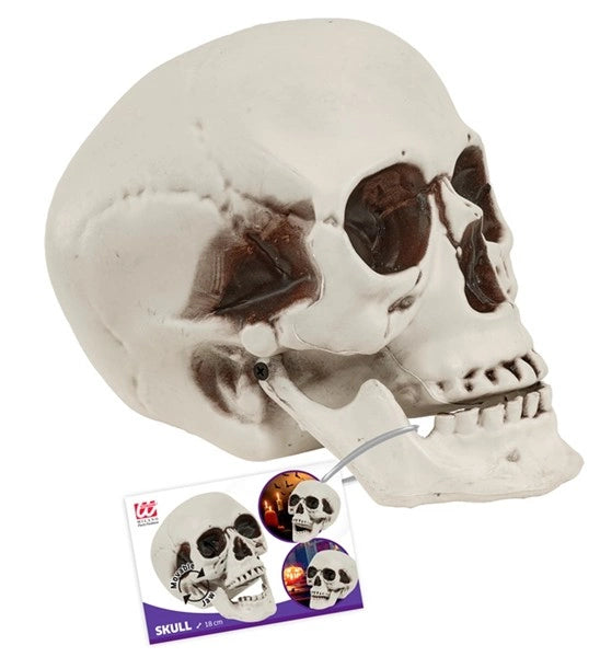 Halloween-kranium med bevægelig kæbe
