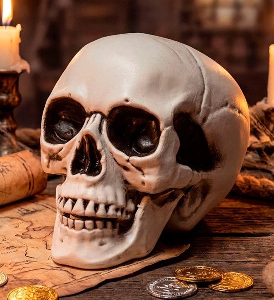 Halloween-kranium med bevægelig kæbe