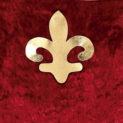 Prinsessekostume pige middelalderen