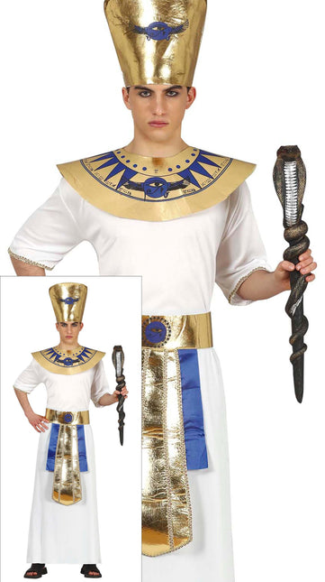 Farao-kostume 14/16 år