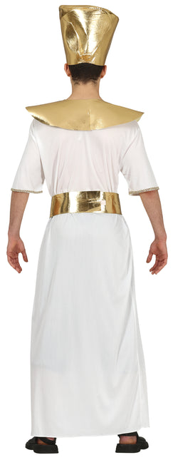 Farao-kostume 14/16 år