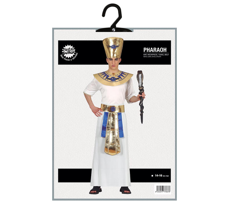 Farao-kostume 14/16 år