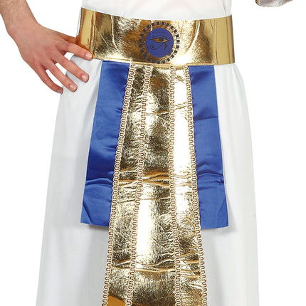 Farao-kostume 14/16 år