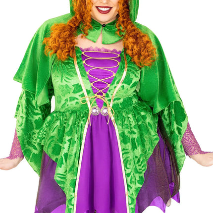 Witch Dress Purple Green Ladies Leg Avenue