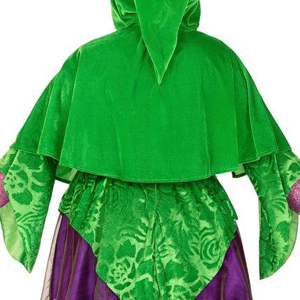 Witch Dress Purple Green Ladies Leg Avenue