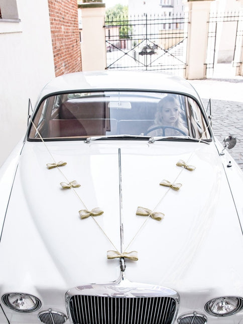 Auto Decoratie Set Bruiloft Strikjes van Partydeco koop je bij Partywinkel