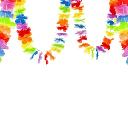 Bloemenslinger 3m van Folat koop je bij Partywinkel