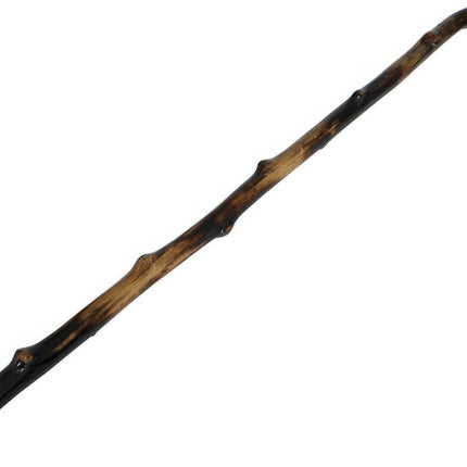Bruine Wandelstok 95cm van Fiestas Guirca koop je bij Partywinkel