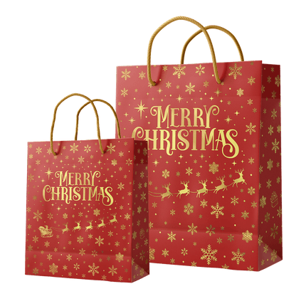 Cadeautas M - Merry Christmas Rood van Paper Dreams koop je bij Partywinkel