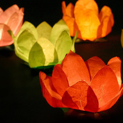 Drijvende Lantaarns Gekleurd 29cm 1st van Partydeco koop je bij Partywinkel