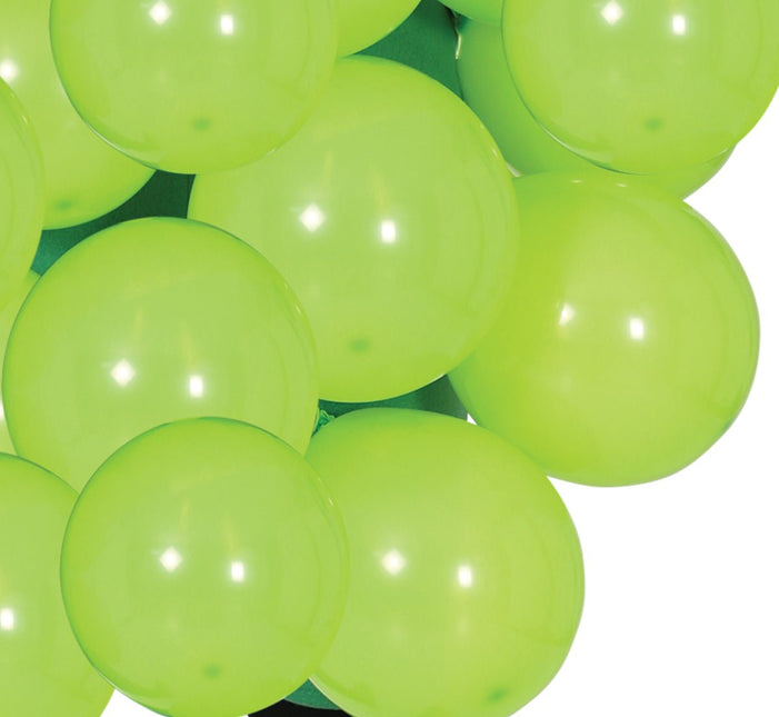 Druiven Kostuum van Fiestas Guirca koop je bij Partywinkel