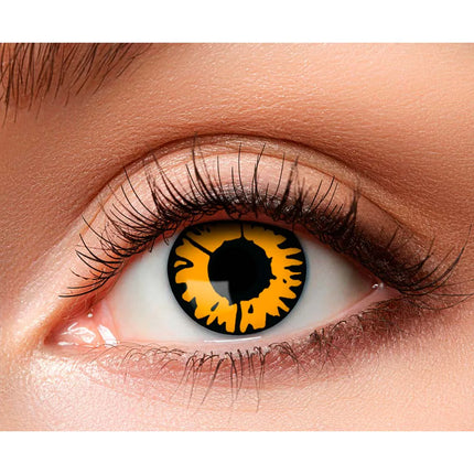 Orange farvede linser 3Mnd