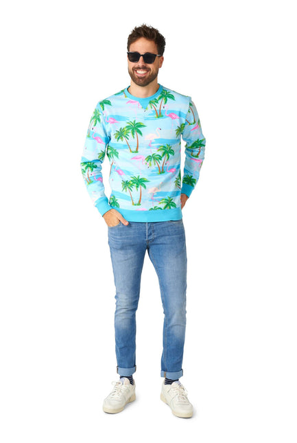 Hawaii Flamingo Sweater Men <tc>OppoSuits</tc>