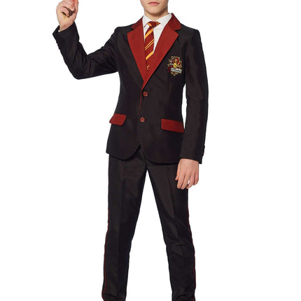 Harry Potter-dragt dreng Gryffindor