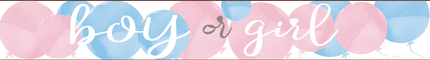 Gender Reveal Banner Dreng eller pige 2.74m