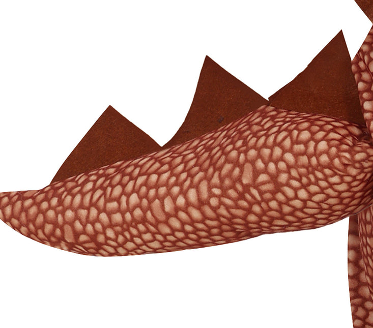 Dinosaur-dragt dreng