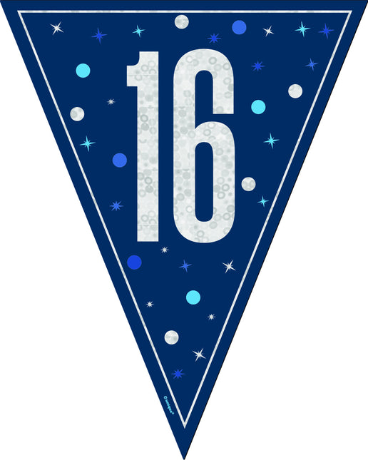 16 Jaar Slinger Blauw 2,5m