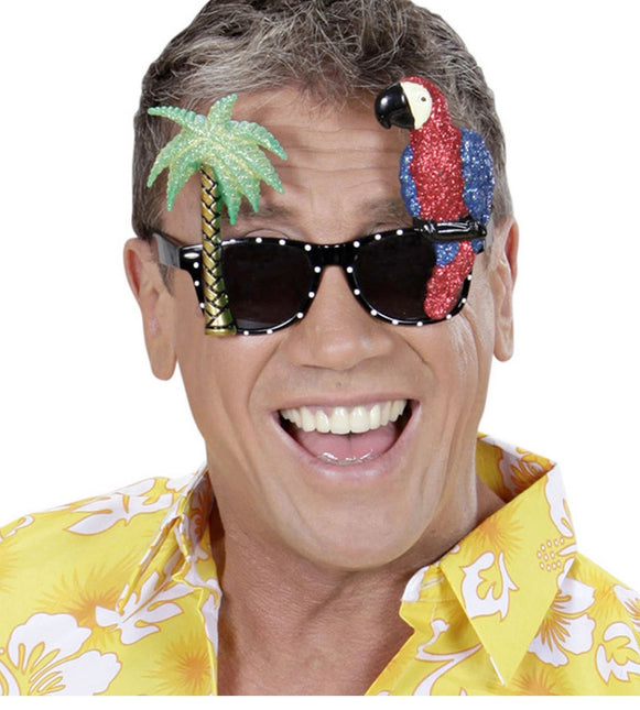 Hawaii-briller i farver