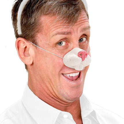 Kanin med falsk næse