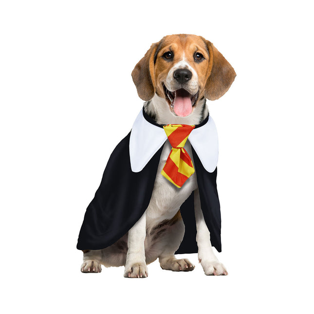 Harry Potter-kostume til hund