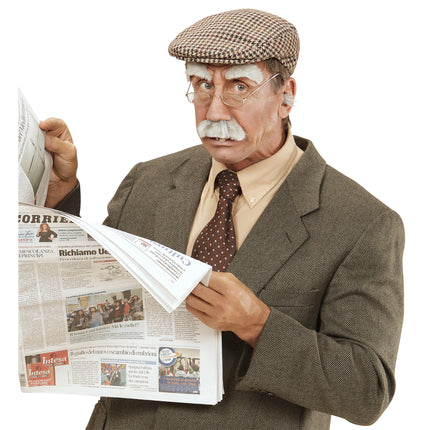 Grijze Nep Snor Snor En Wenkbrauwen 2 delig