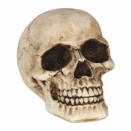 Halloween-borddekoration kranium 8 cm