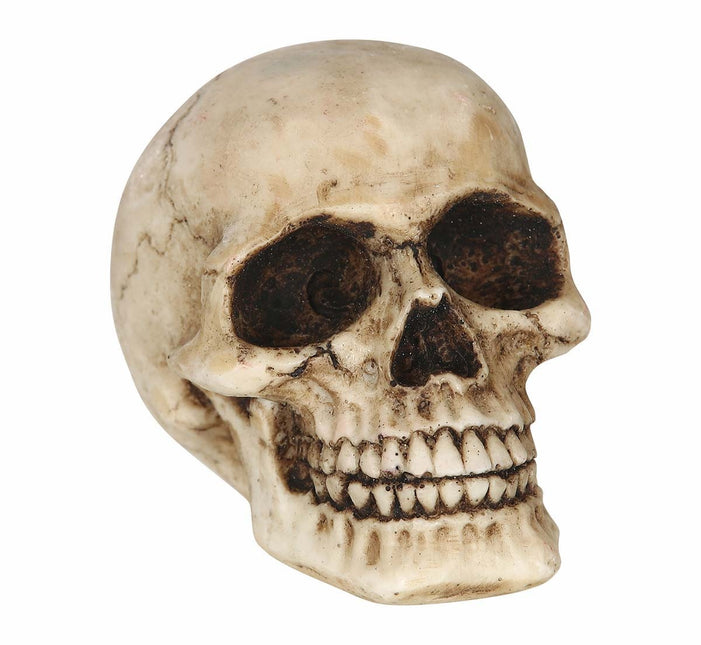 Halloween-borddekoration kranium 8 cm