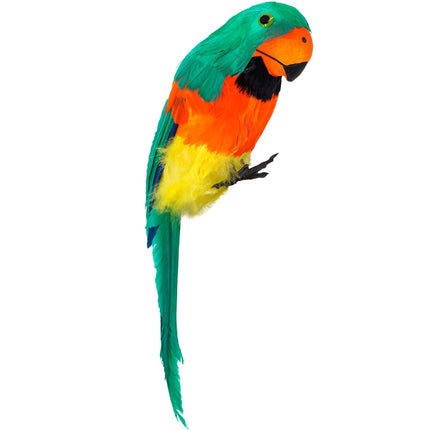 Pirat falsk papegøje grøn