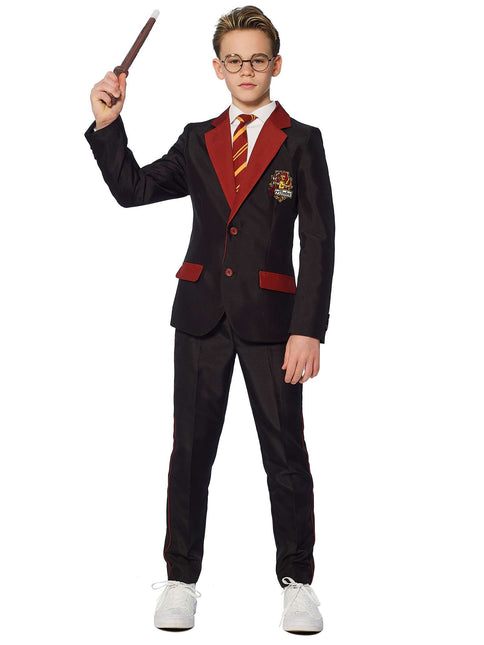 Harry Potter-dragt dreng Gryffindor