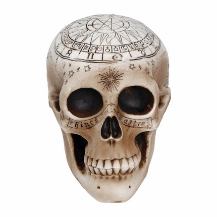 Halloween-borddekoration kranium 20 cm