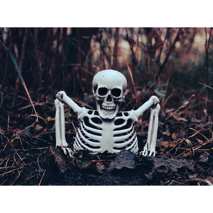 Halloween-skelet, 20 cm