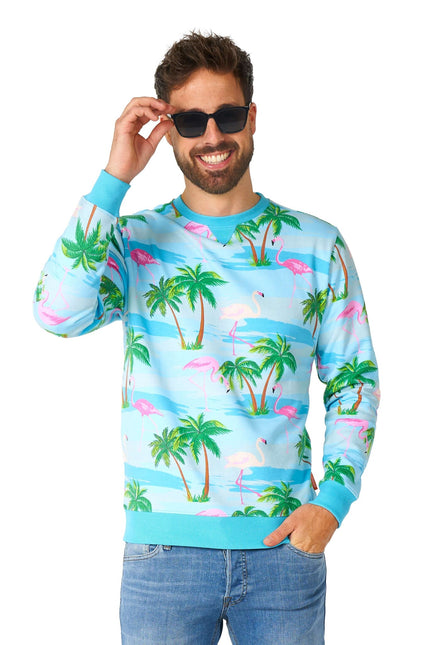 Hawaii Flamingo Sweater Men <tc>OppoSuits</tc>