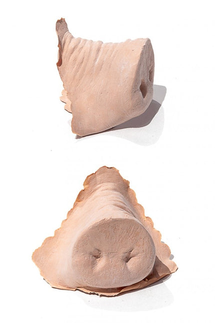 PXP Latex grisenæse