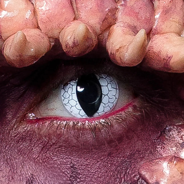 Sort Hvid Farve Linser Dragon