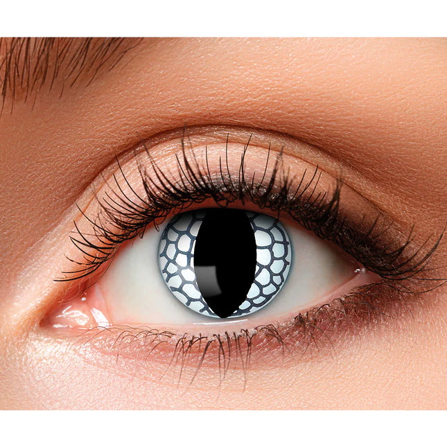 Sort Hvid Farve Linser Dragon