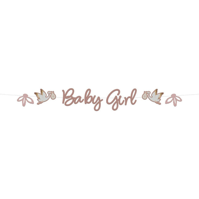 Geboorte Letterslinger Babygirl 2m van Folat koop je bij Partywinkel
