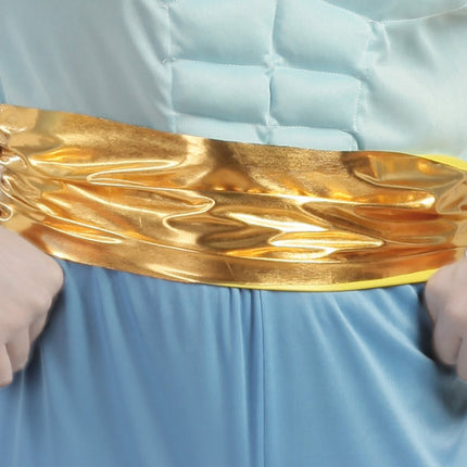 Geest Lamp Aladdin Kostuum Heren van Fiestas Guirca koop je bij Partywinkel