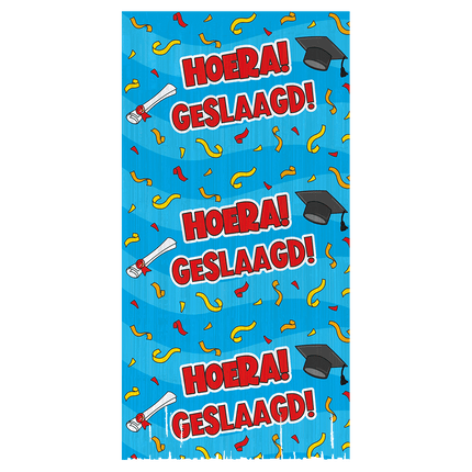 Geslaagd Deurgordijn 2m van Paper Dreams koop je bij Partywinkel