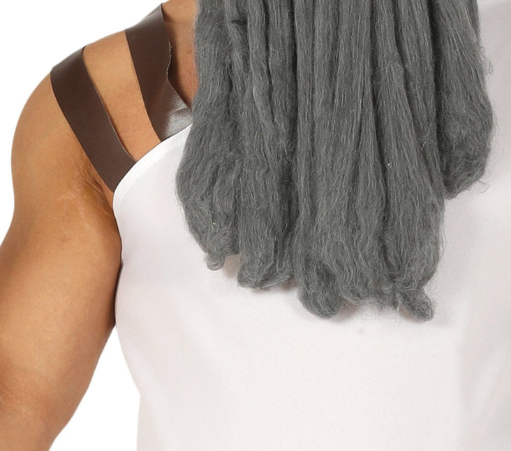 Gladiator Kostuum Spartaan van Fiestas Guirca koop je bij Partywinkel