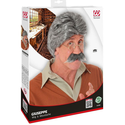 Grijze Pruik van Widmann koop je bij Partywinkel